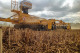 Agrisem-Disc-O-Mulch-Gold-5m-DS-500-08-2016-2
